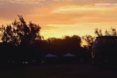 fit-avit-fotos-feria-2023-4