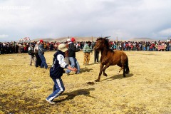 fotos-huayllay-whatsperu-41