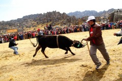 fotos-huayllay-whatsperu-42
