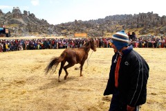 fotos-huayllay-whatsperu-44