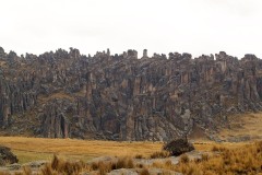 fotos-huayllay-whatsperu-47