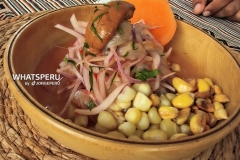 perumuchogusto5